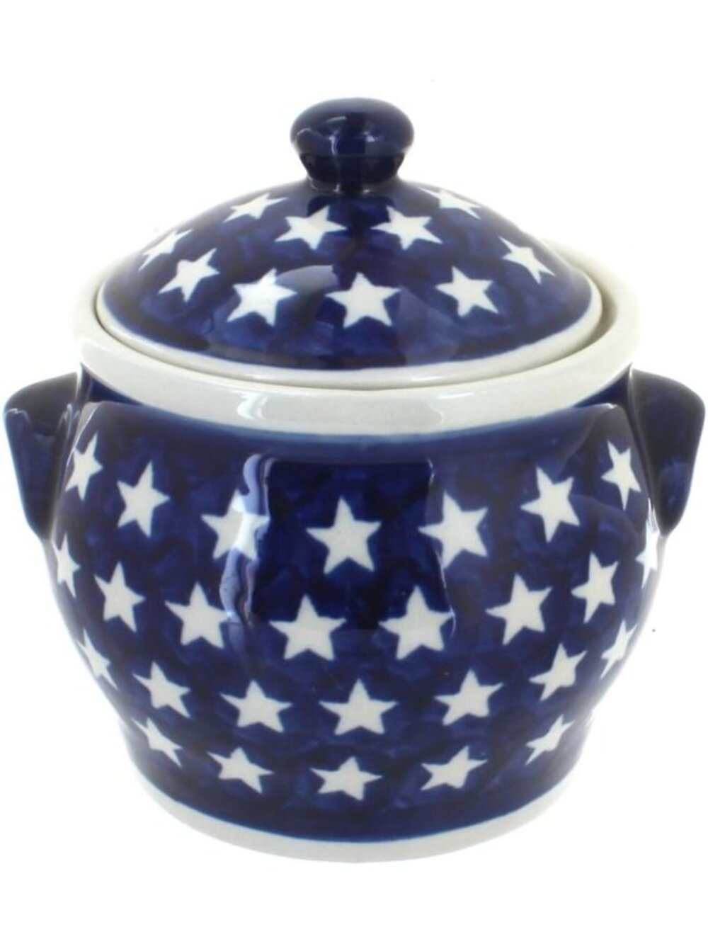 Hand-Painted Blue Rose Ceramic Canister - 3 Cup Kitchen Storage Jar with Lid